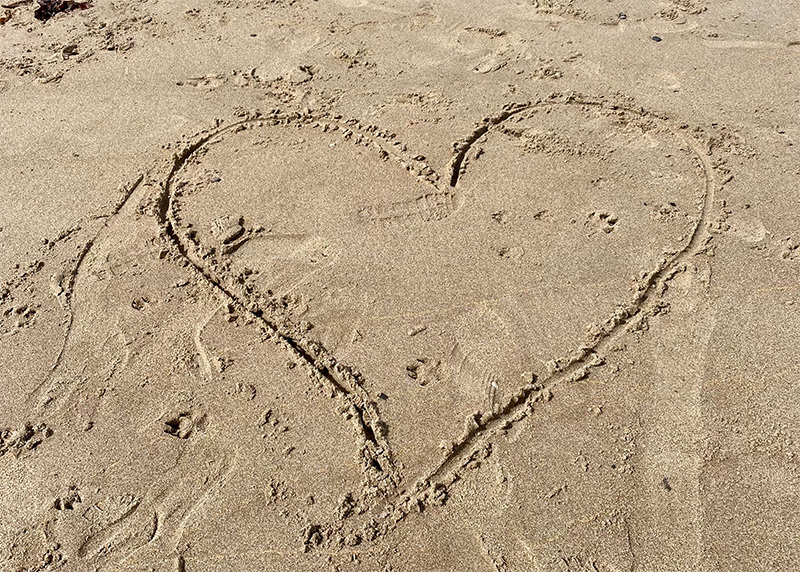 online-session-benefit Couples Therapy Plymouth